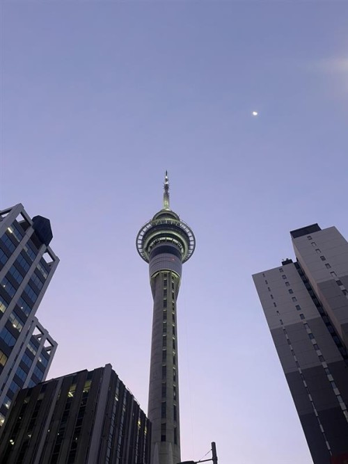 Do: One Day in Auckland CBD: The Ultimate Walking Itinerary