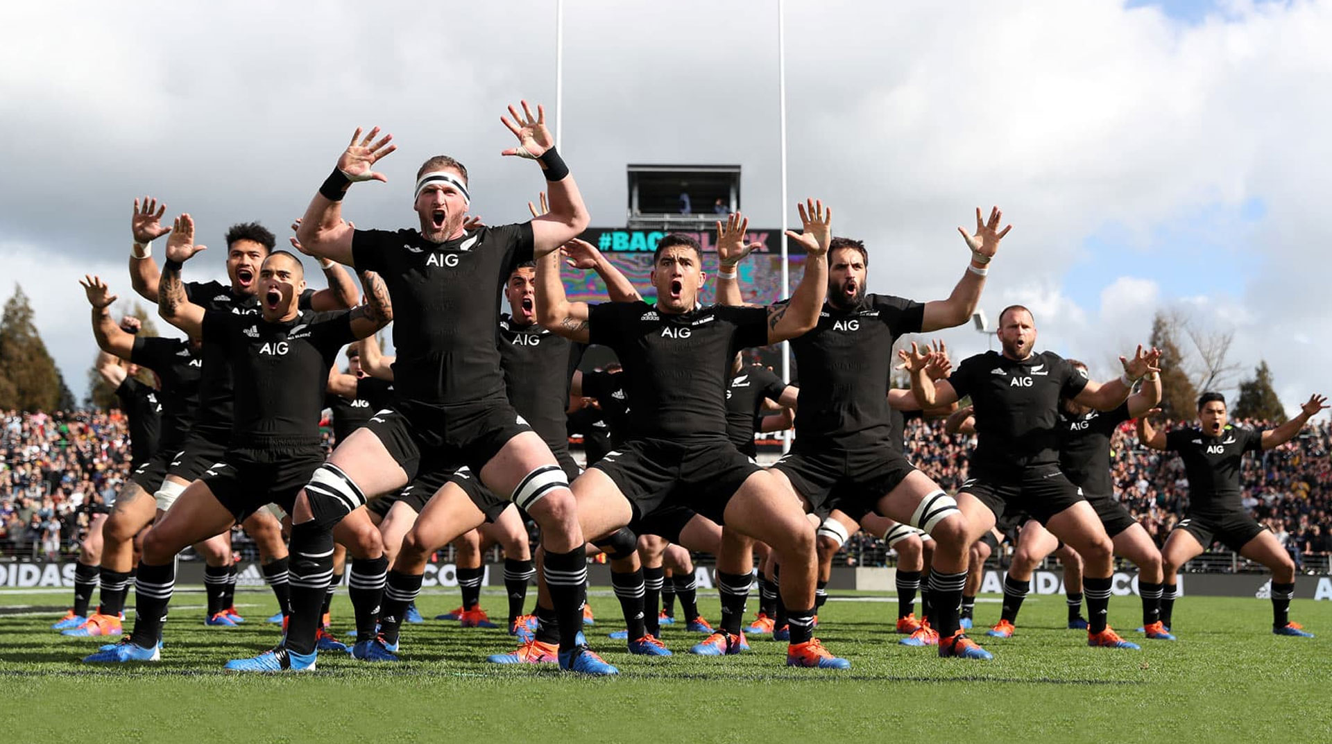 Met opzet Intentie lepel History of the New Zealand Rugby Haka - All Blacks Experience